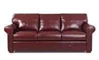 Savvy Cancun Leather Queen Sleeper Sofa