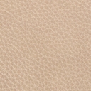 Titan Champagne