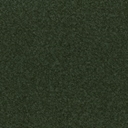 Rio Spinach